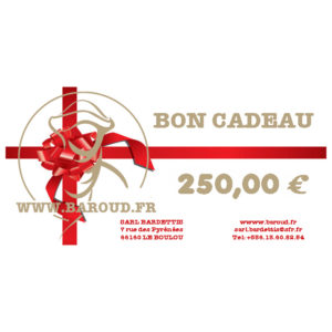 BON CADEAU CHÈQUE 250 EUR