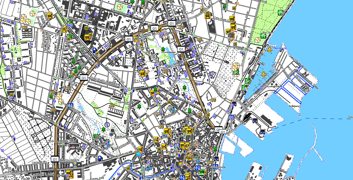 CARTE TOPO MAP GARMIN DANEMARK