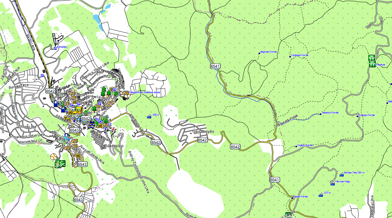 CARTE TOPO MAP GARMIN HONGRIE