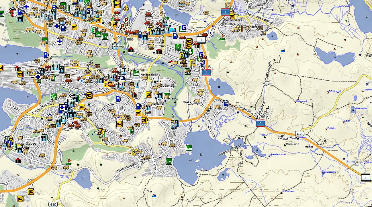 CARTE TOPO MAP GARMIN ISLANDE