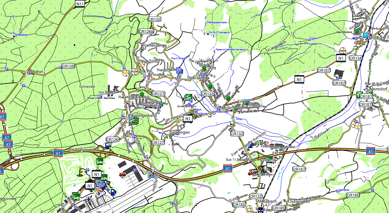 CARTE TOPO MAP GARMIN LUXEMBOURG