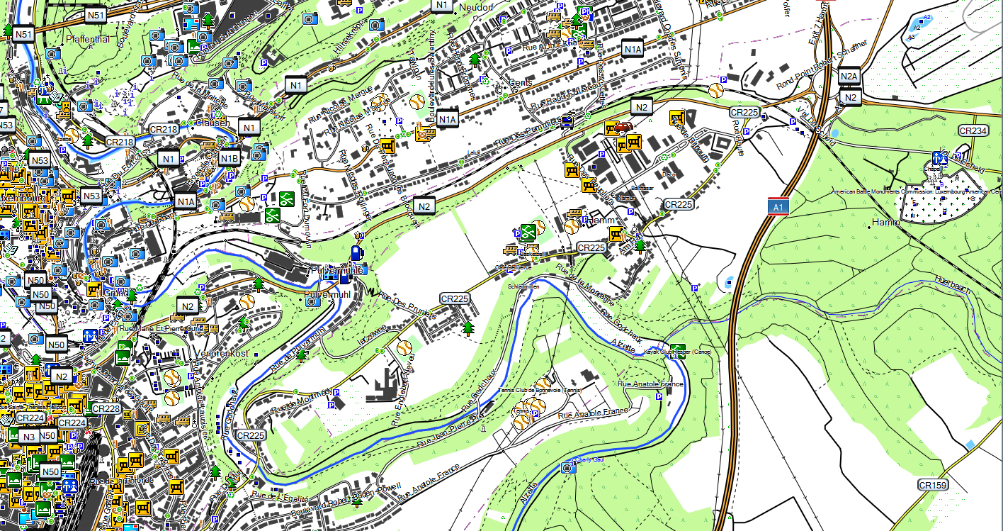 CARTE TOPO MAP GARMIN LUXEMBOURG