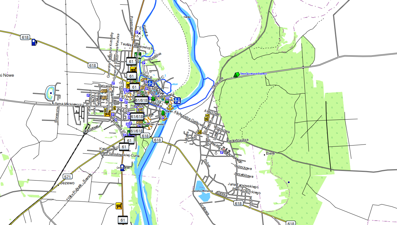 CARTE TOPO MAP GARMIN POLOGNE