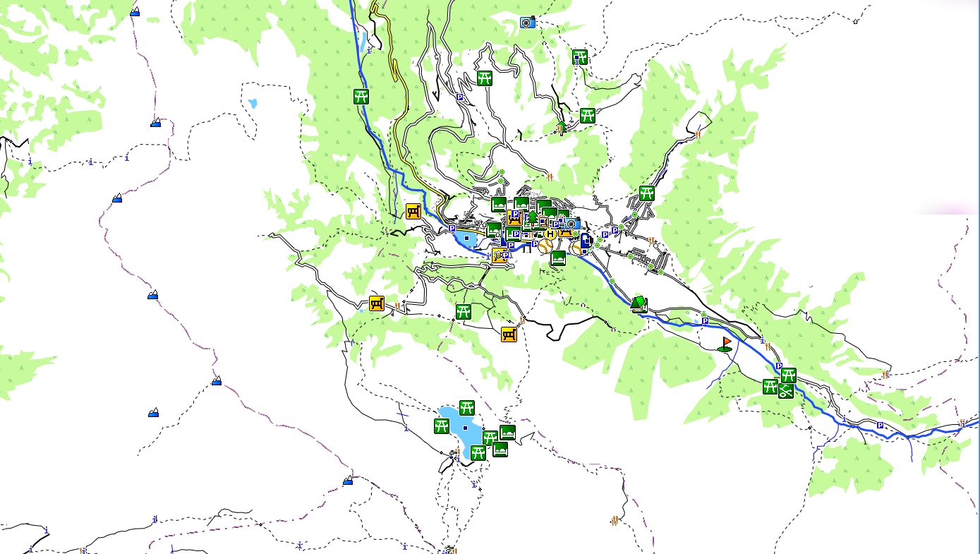 CARTE TOPO MAP GARMIN SUISSE