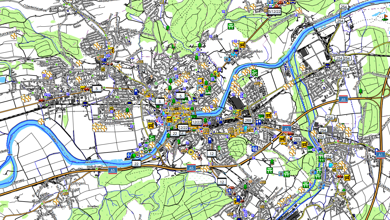 CARTE TOPO MAP GARMIN SUISSE