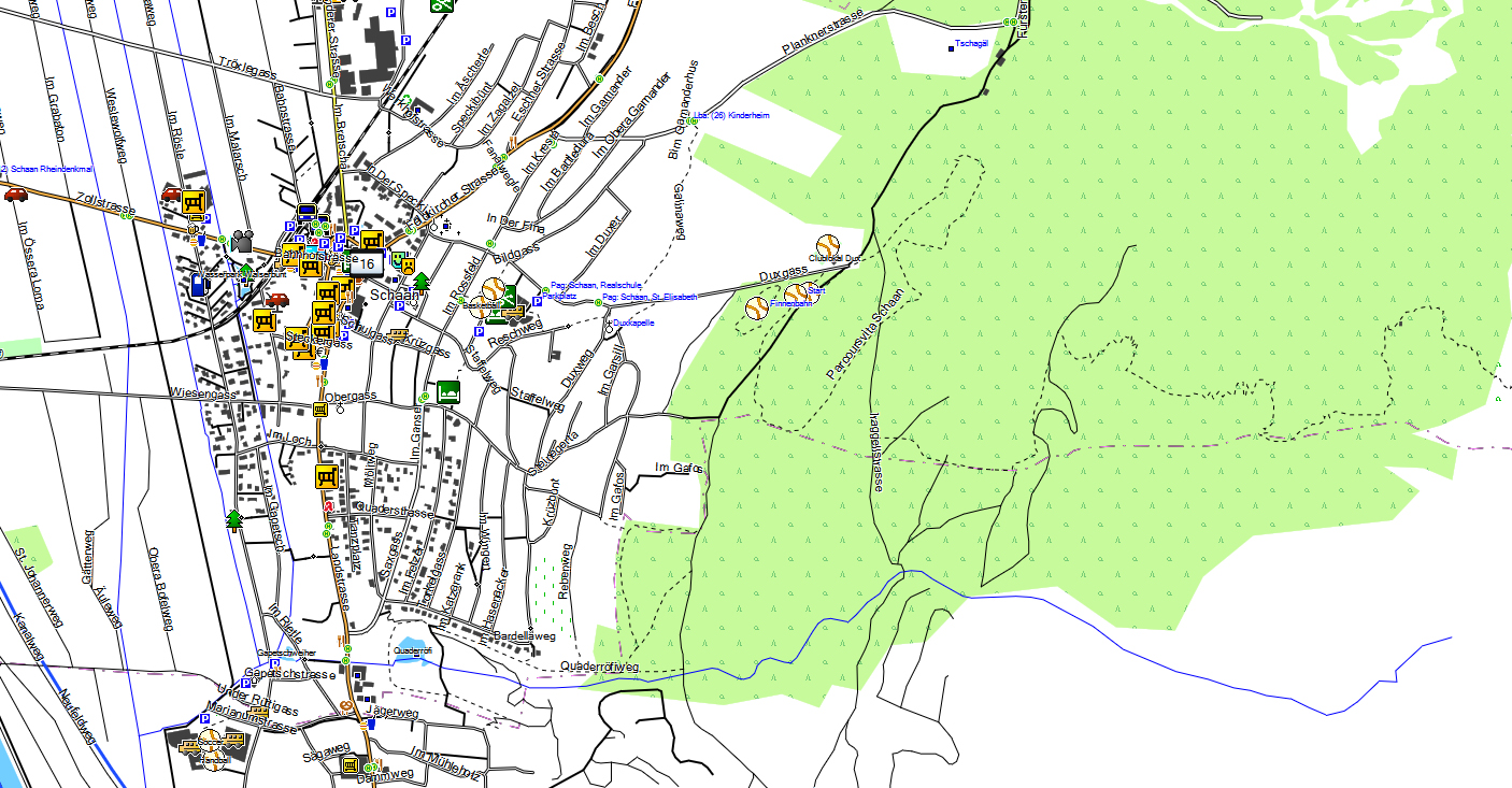 CARTE TOPO MAP GARMIN LIECHTENSTEIN